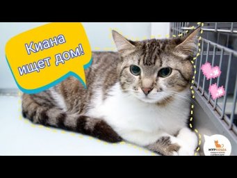 КИАНА ХОЧЕТ ДОМОЙ! МОСКВА!