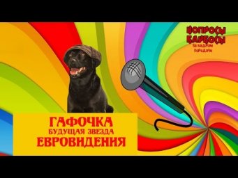 вот кого нужно на ЕВРОвиденье. ГАфочка жжёт!!!