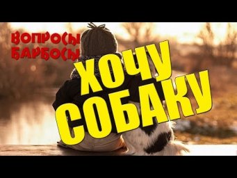 хочу собаку а мне не разрешают