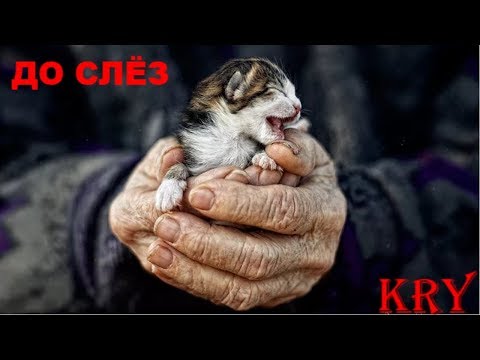 НЕВОЗМОЖНО СДЕРЖАТЬ СЛЁЗЫ#СПАСЕНИЕЖИВОТНЫХ НЕВОЗМОЖНО СДЕРЖАТЬ СЛЁЗЫ#СПАСЕНИЕЖИВОТНЫХ