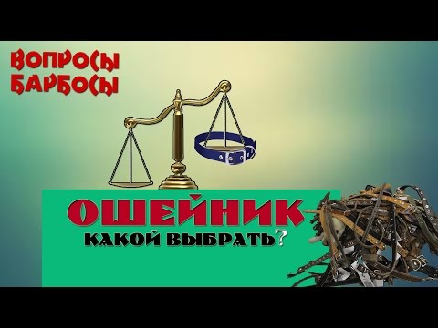 Ошейник для собаки - ПОЛЬЗА или ВРЕД?