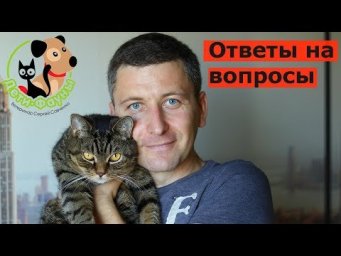 20.06.20  Ветеринар Сергей и кот Сэмыч в прямом эфире отвечаем на вопросы о собаках и кошках