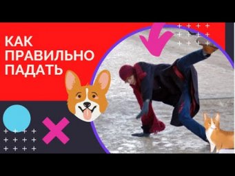 как правильно идти по льду  как правильно падать зимой. Безопасность для собачника