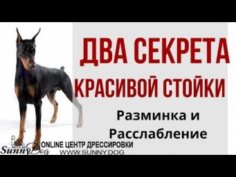 Секреты красивой стойки: разминка и расслабление. Хитрости хендлинга.