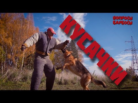 Вся правда о подготовке собак к защите хозяина и караульной службе.
