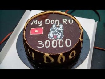 Новый трейлер канала ))) MyDogRu