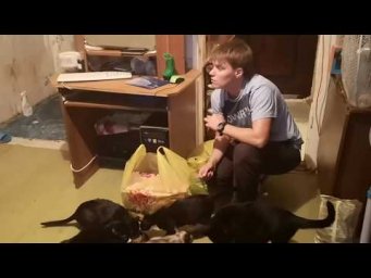 Страшилки Озеро Яровое от местной жительницы про Кошек Что творится на берегу соленого озера.
