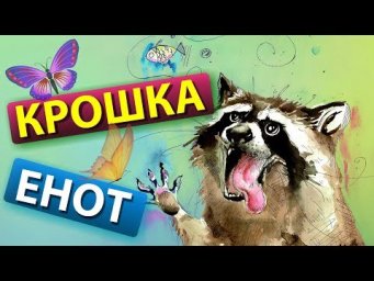 Крошка енот