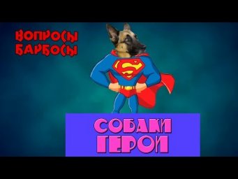 9 удивительных героических подвигов собак