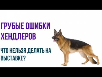 Топ грубых ошибок 80% хендлеров на выставке. Не совершайте их