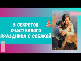 Гости и собака. 5 секретов счастливого праздника с собакой