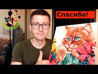 Получил подарок от подписчиков (видео для постоянных зрителей)