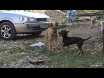 ПРИЮТ В ГОРОДЕ ГОРЯЧИЙ КЛЮЧ