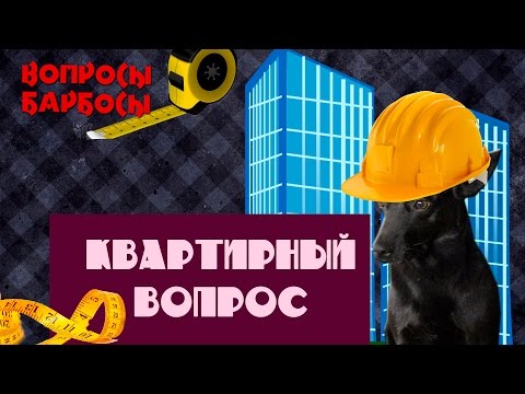 Сколько нужно места в доме чтобы заводить собаку?