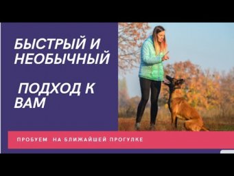 Команда "ко мне" -  учим быстро, выполняет  четко, подходит всегда.