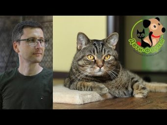 02.05.20  Ветеринар Сергей и кот Сэмыч в прямом эфире отвечаем на вопросы о собаках и кошках