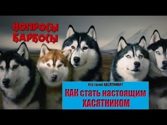 Кто такие хасятники? Как стать настоящим хасятником?