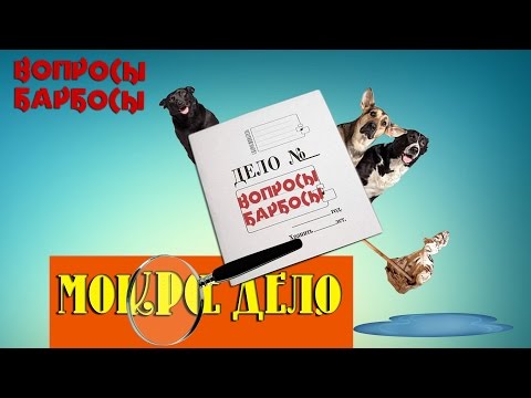 Как приучить собаку к туалету? Как отучить гадить дома?
