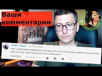 Отвечаю на ваши 10 комментариев