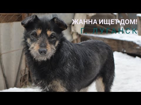 ЖАННА ЖДЕТ ХОЗЯИНА! ЛУГАНСК!