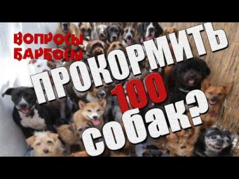 Как прокормить больше 100 собак?