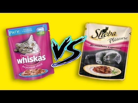 КОТ ВЫБИРАЕТ SHEBA ИЛИ WHISKAS