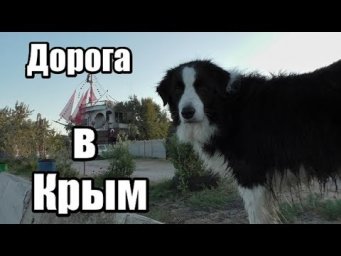 Дорога в Крым на машине. Как мы ехали в Крым на машине с собаками.